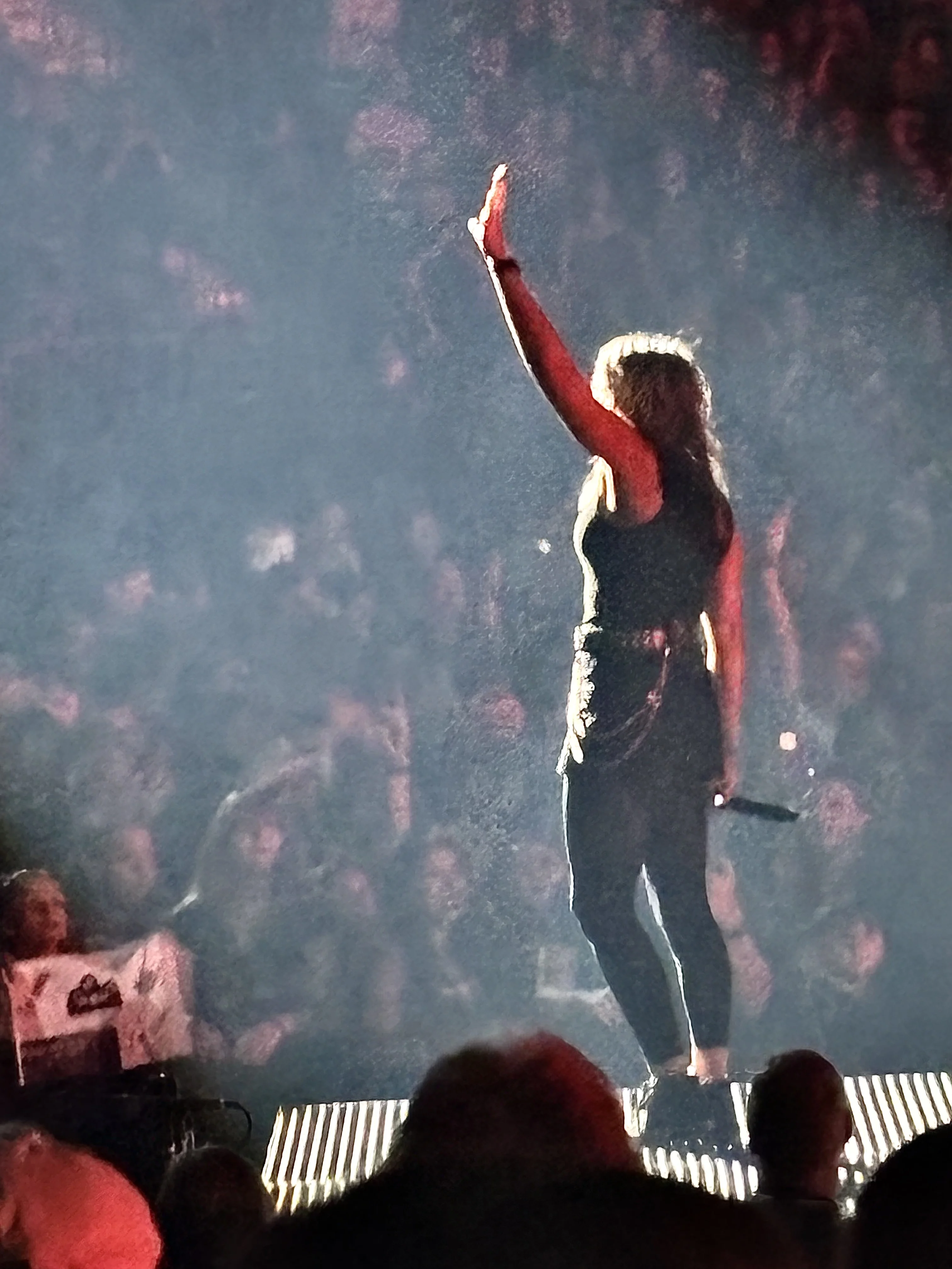 Concert Photos - Legal to Exhibit? (photo 1 of 3)