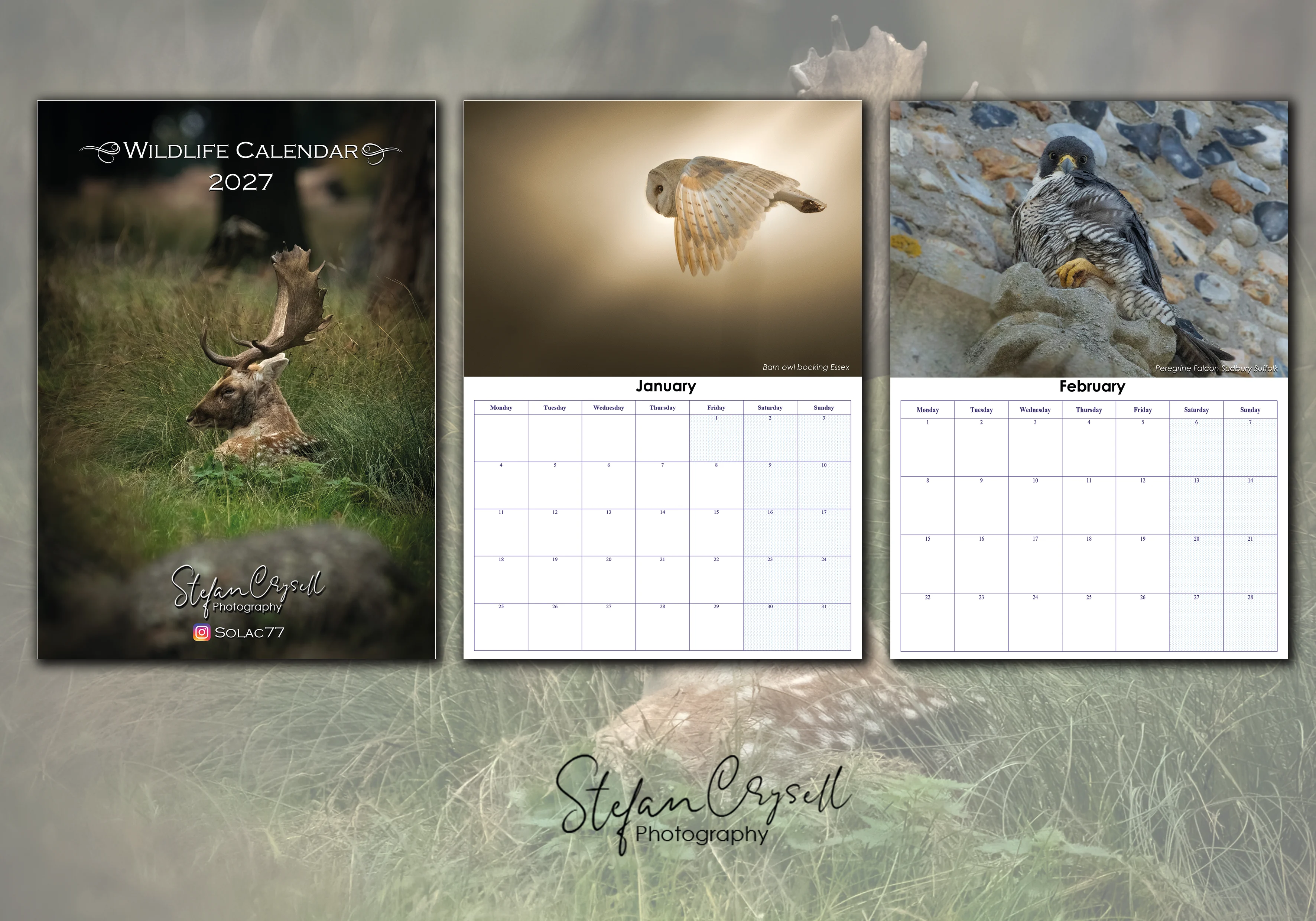 Wildlife calendar for this year — interested in supporting it? (photo 1 of 4)