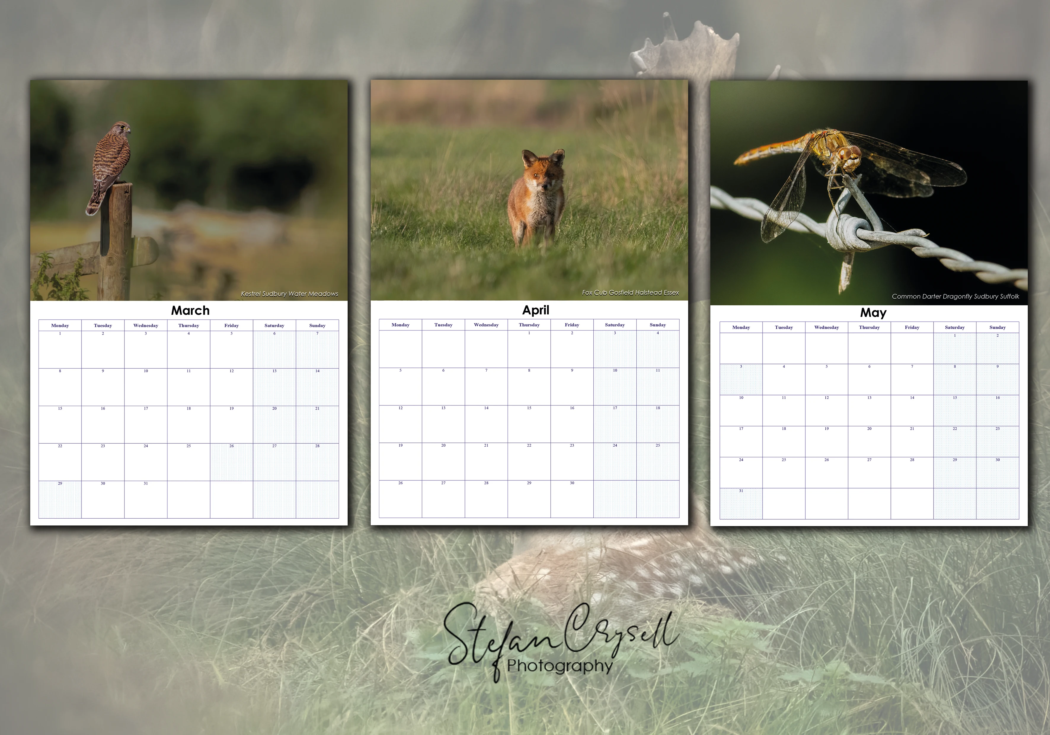 Wildlife calendar for this year — interested in supporting it? (photo 2 of 4)
