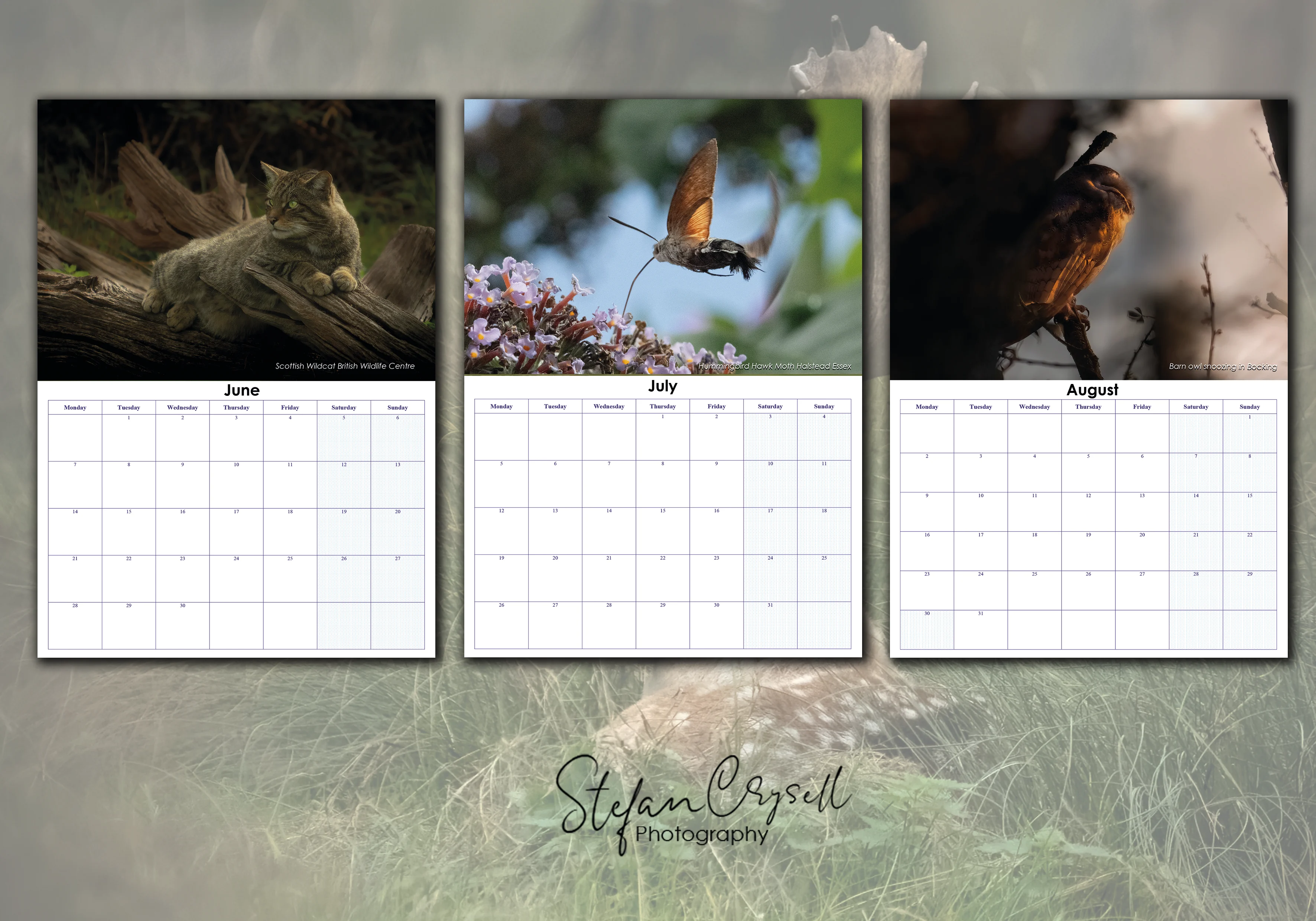 Wildlife calendar for this year — interested in supporting it? (photo 3 of 4)
