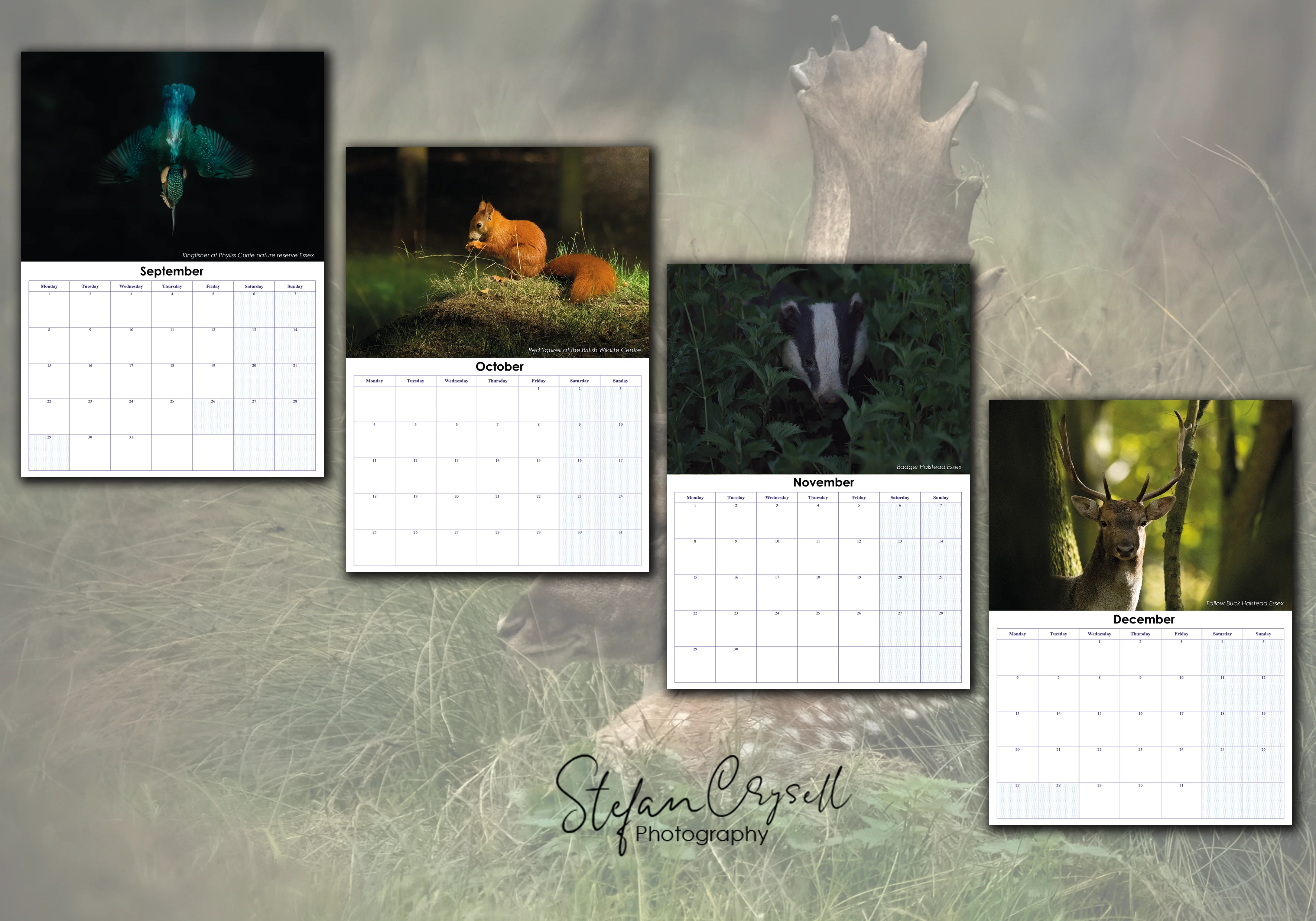 Wildlife calendar for this year — interested in supporting it? (photo 4 of 4)