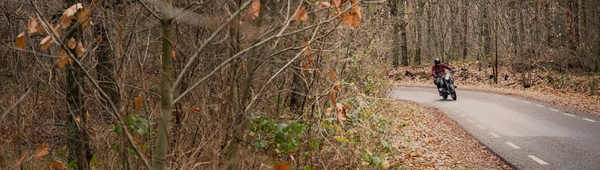 Motor rijdt door een kaal herfstbos