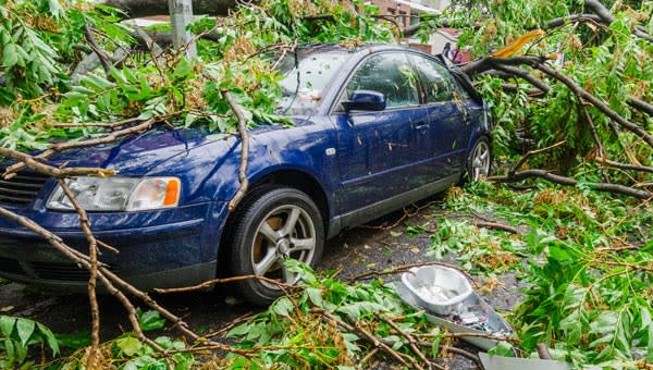 Autoverzekering dekking WA plus