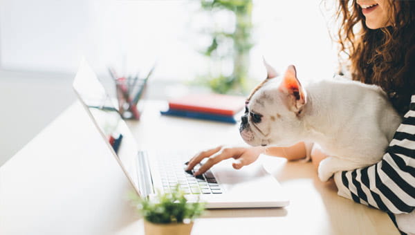 De huisdierverzekering van OpGroen - Een zorgverzekering speciaal voor je maatje