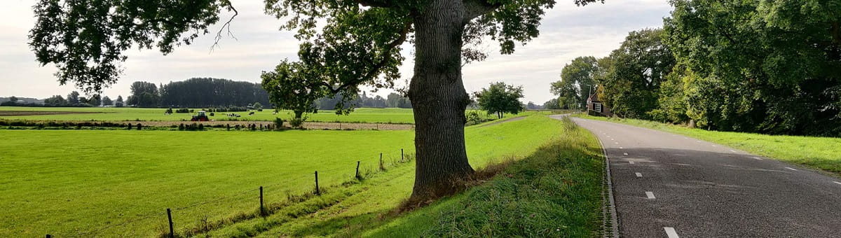 Landweggetje op de Noord Veluwe