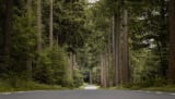 Toeren op de Zuid-Veluwe