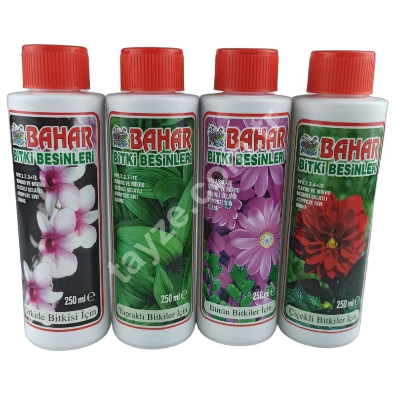 Bahar Bitki Besinleri - Toptan ÇİÇEK SÜNGERLERİ VE BAKIM - Tayze Çiçekçilik