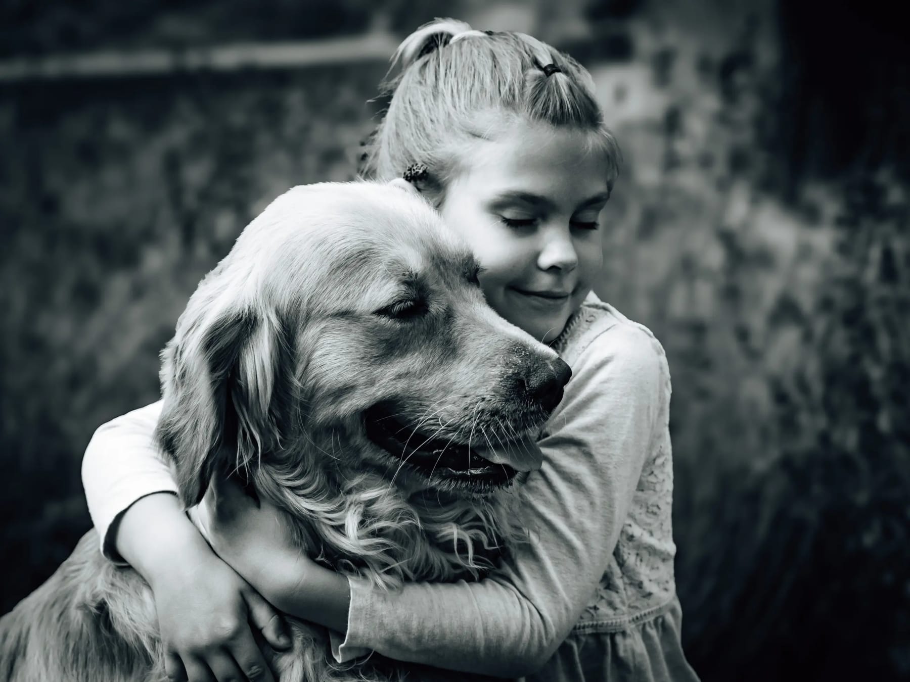Fekete-fehér kép: kislány átöleli golden retrieverét