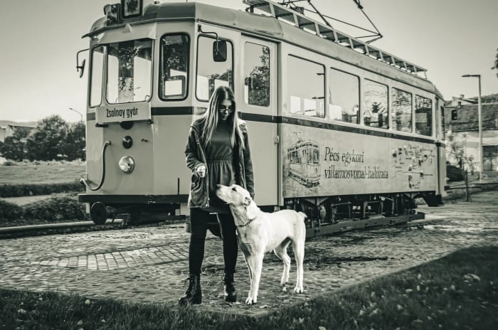 Fekete-fehér kép: nő fehér kutyájával egy régi villamos előtt