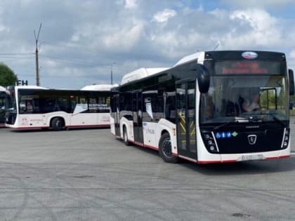 Кострому и Вологду связал автобусный маршрут