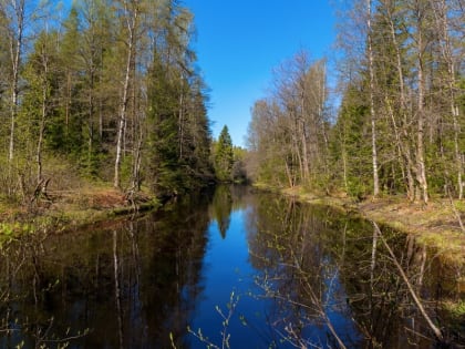 Происшествие на воде в Нейском районе: погиб ребенок