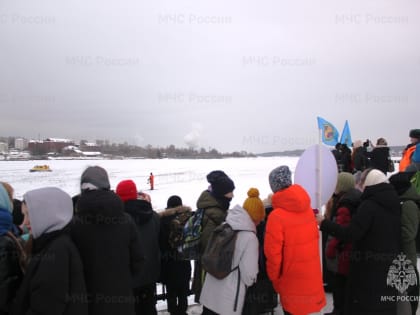 Костромские сотрудники МЧС провели урок безопасности