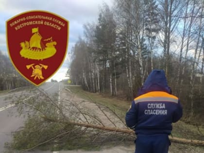 В Костромской области устраняют последствия непогоды