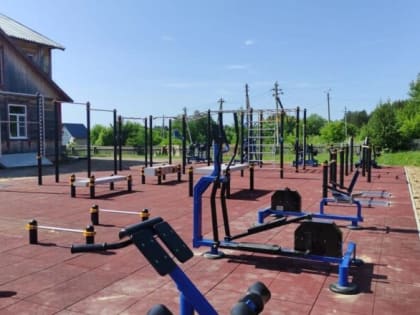 Площадка ГТО — шаг  к здоровому образу жизни