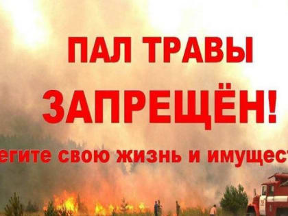 Жителям Костромской области напоминают об опасности пала сухой травы