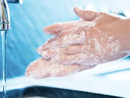 Ваше здоровье: Помните о мерах профилактики гельминтозов