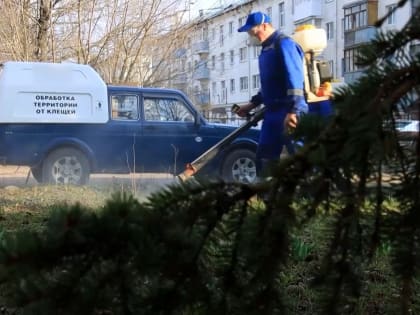 Зеленые территории Костромы повторно обработали от клещей