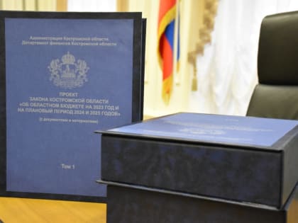 Костромская область стала четвертой в ЦФО по темпам прироста собственных доходов