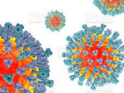 Меры профилактики кори