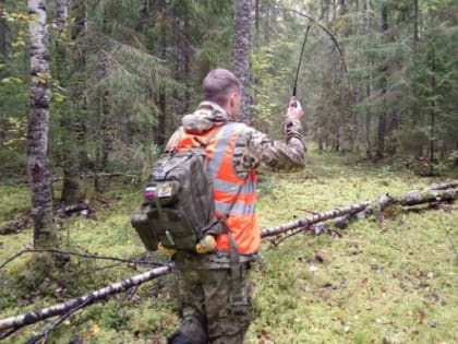 Буйские полицейские помогли выйти из леса заблудившейся пенсионерке
