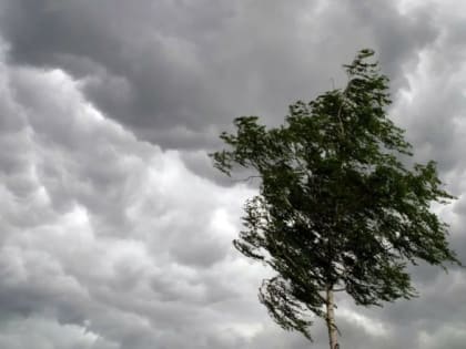 В Костроме и местами по области ожидается усиление ветра