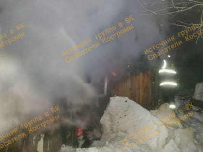 На пожаре в костромской деревне пострадал домашний скот