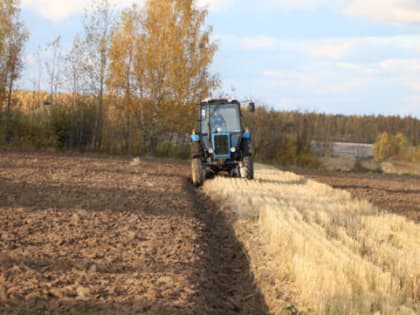 В АПК: Уборка урожая в районе завершена