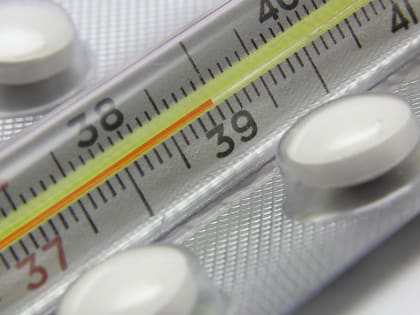 Две школы в регионе закрылись на карантин из-за ОРВИ