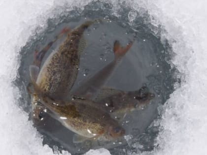 Природоохрана: Усилен мониторинг водных объектов