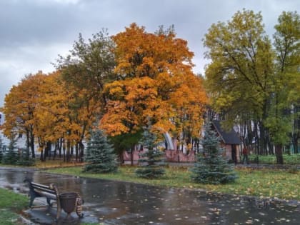 О погоде: прогнозируется сильный ветер