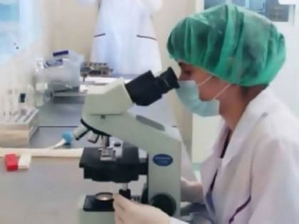 Эпизоотическая ситуация в Российской Федерации.