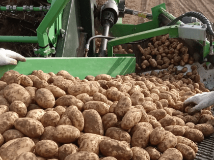 Инфляция в Костромской области достигла 9,3% за год