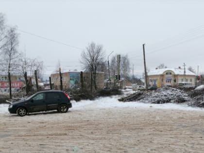 В Костромской области в центре одного из городов вырубают сквер с полувековым липами