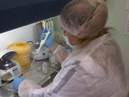 В красносельской школе локализовали вспышку норовирусной инфекции