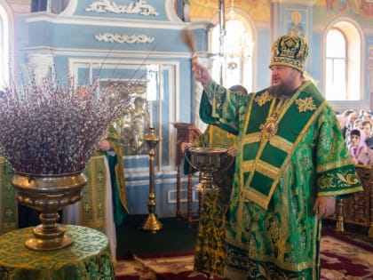Православные христиане отметили Вербное воскресенье