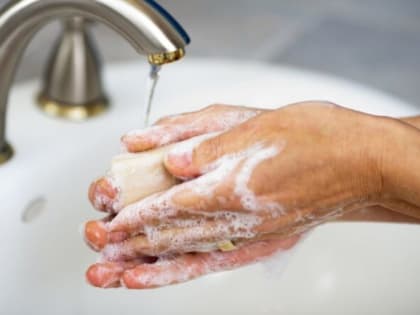 О мерах профилактики гельминтозов