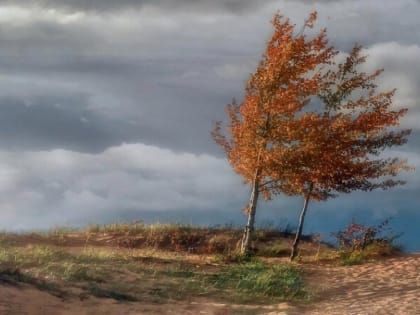 Ожидается усиление ветра с порывами