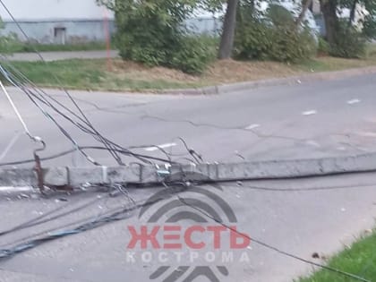 В Костроме упавшее на дорогу дерево разрушило столбы с проводами и перекрыло целую улицу