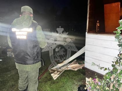 На пожаре в костромском селе погиб 17-летний подросток