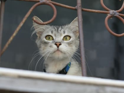 Погода в Костроме пару дней будет неустойчивой