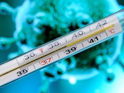 Обнаруженный у жителей Костромской области грипп оказался не гонконгским