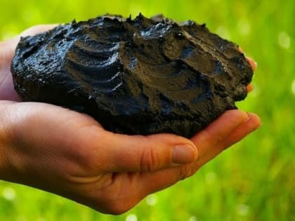 В Костромской области нашли залежи ценного вещества