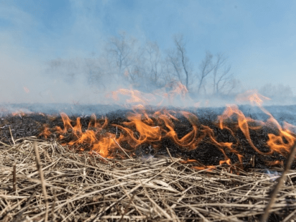 Самовольные палы травы приводят к крупным пожарам и гибели людей