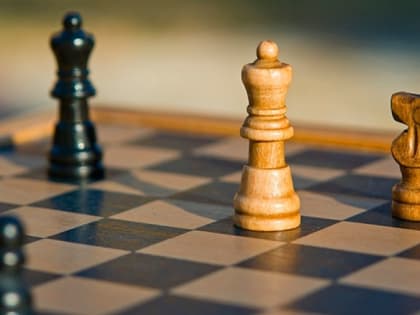 Костромским семьям предлагают поучаствовать в шахматном турнире