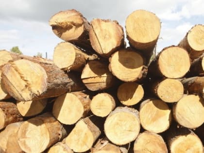 Ведущие предприятия Костромской области выходят на новые рынки сбыта