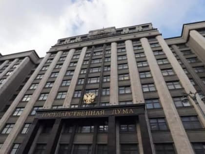 Госдума криминализовала дискредитацию добровольных формирований