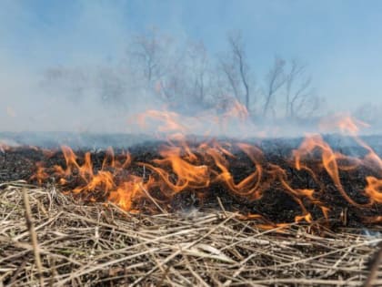 Постановлением губернатора Сергея Ситникова в Костромской области с 5 апреля установлен пожароопасный период