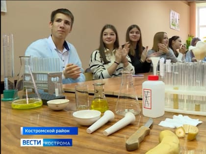 Костромским школьникам показали, как выделять ДНК в домашних условиях