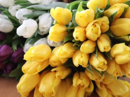 Красотки наши! С праздником! С Международным женским днём!