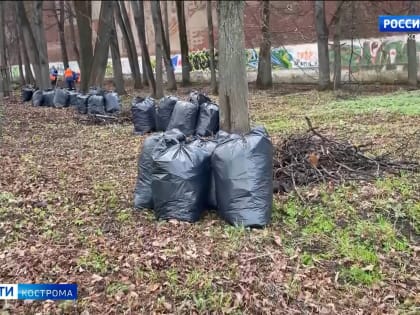 Костромичей просят сообщать – куда полагается – места собранного на субботниках мусора